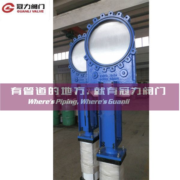 Bi-Directional Pneumatic Knife Gate Valve