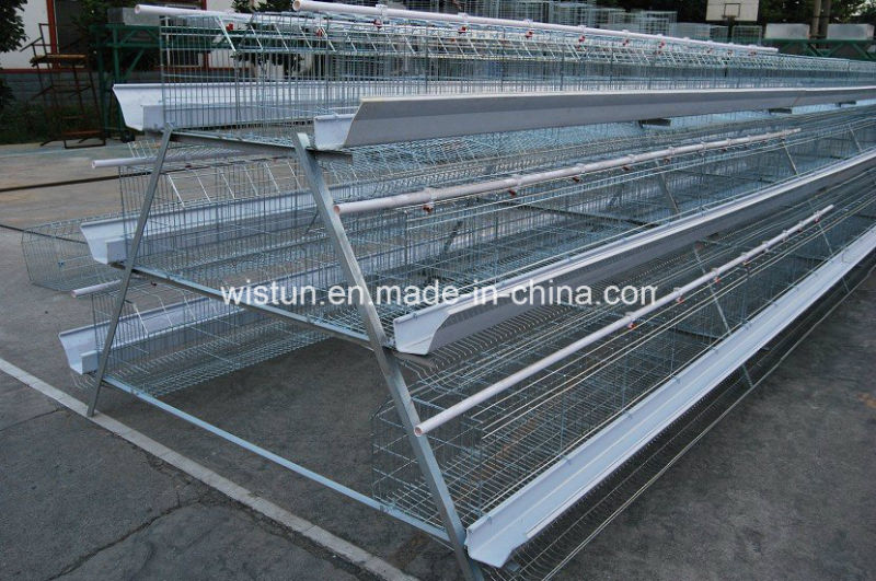 Best Selling Chicken Layer Cage