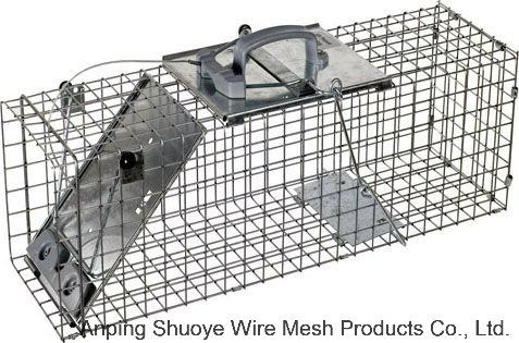 Humane Rabbit Rat Mink Grey Squirrel Small Raccoon Possum Cat Folding Live Animal Cage Trap