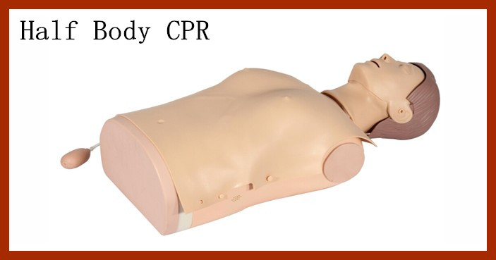Medical Model Electronic Half Body CPR Training Manikin
