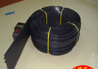 Expansion Joint Rubber Water Stop