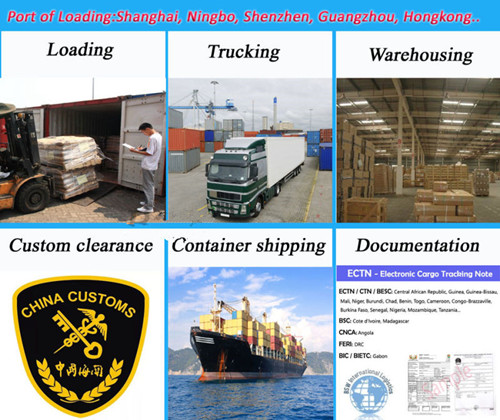 Logistics Service Ocean Shipping Company Contanier From China to Worldwide