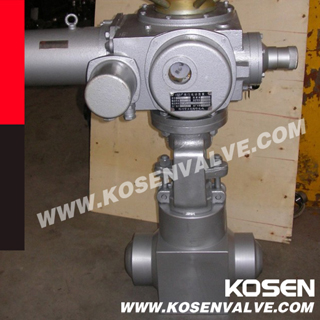 Power Station Globe Valve (J65Y)