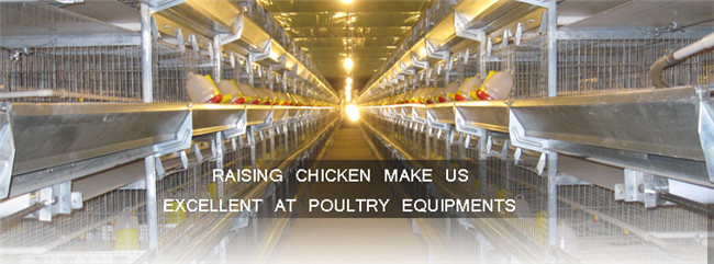 Hot sale automatic day old chicken battery cage in Nigeria