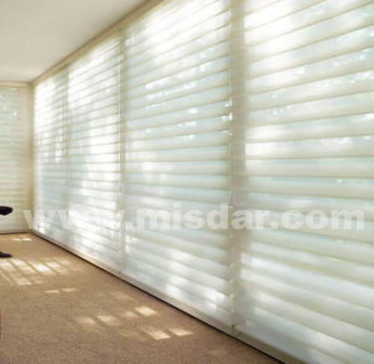 Window Blind Electric Double Roller Blinds