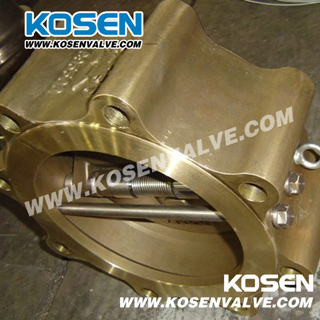 Cast Bronze Wafer Dual Plate Check Valve (H76)