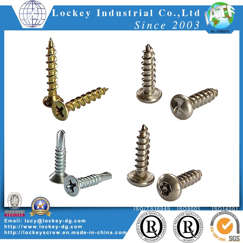 Stainless Steel One Way Round Head Tapping Screw