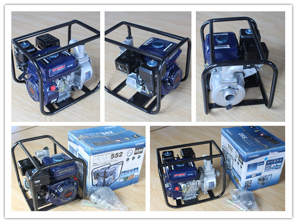 Irrigation Pump/Small Self Priming Water Pump/Manual Water Pump