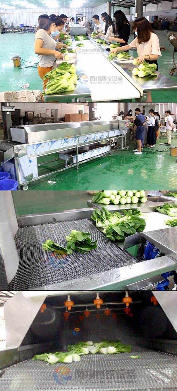 Automatic Top & Bottom Spray Whole Fruit and Vegetable Washing Machine