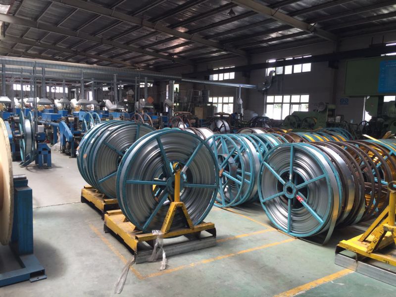 Galvanized High-Carbon Brush-Making Wire