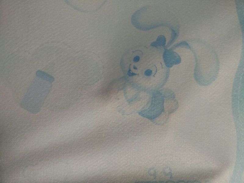 Printed PP Spunbond Nonwoven Fabric