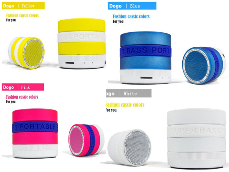 Portable Wireless Bluetooth Speaker with SD Card Function (EB700)