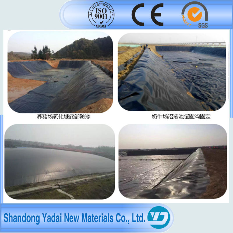 Aquaculture Pond Liner Used HDPE Liner with ASTM GM13 Standard