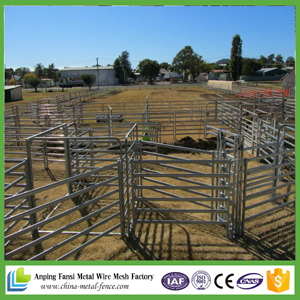 Metal Livestock Portable Steel Tube Corral Fencing / Cattle Panels / Sheep Panel