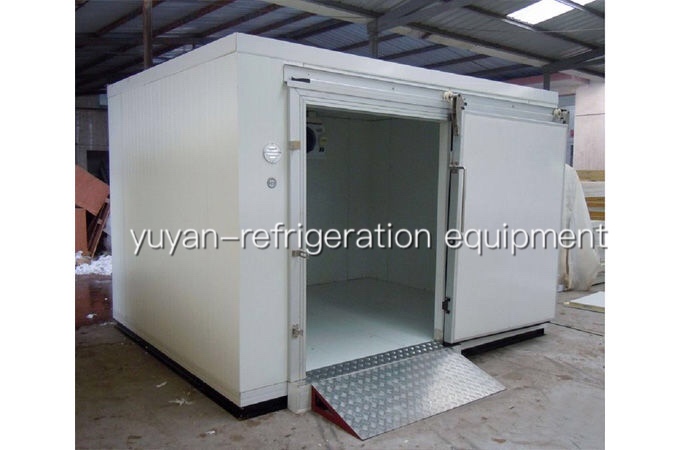 Cold Storage Room for Frozen Food with High Quality