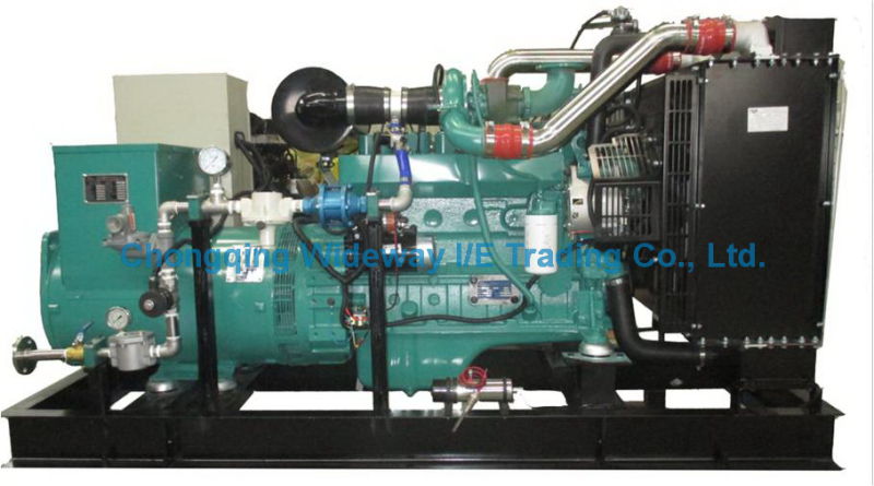 Lyk19g300kw High Quality Eapp Gas Generator Set