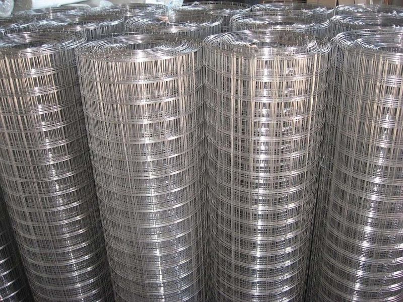 Stainless Steel Welded Wire Mesh Fence (manufacture)