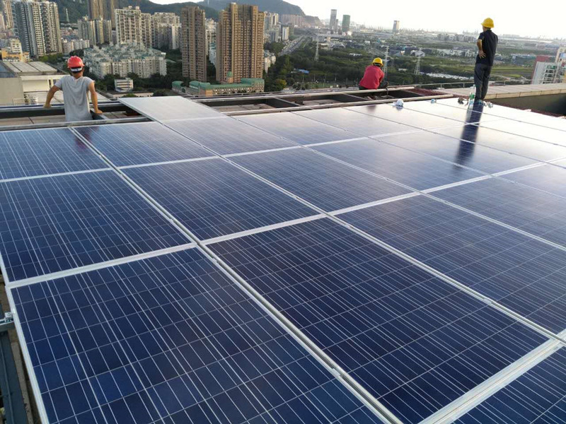 Poly Solar Panel for Different Size