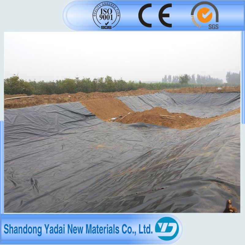 0.1-2mm Smooth Geomembrane HDPE LDPE LLDPE Ecb PVC EVA Pond Liner