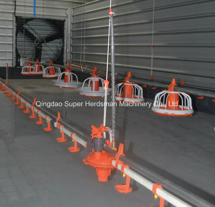 Automatic Chicken Drinking System for Poultry Shed