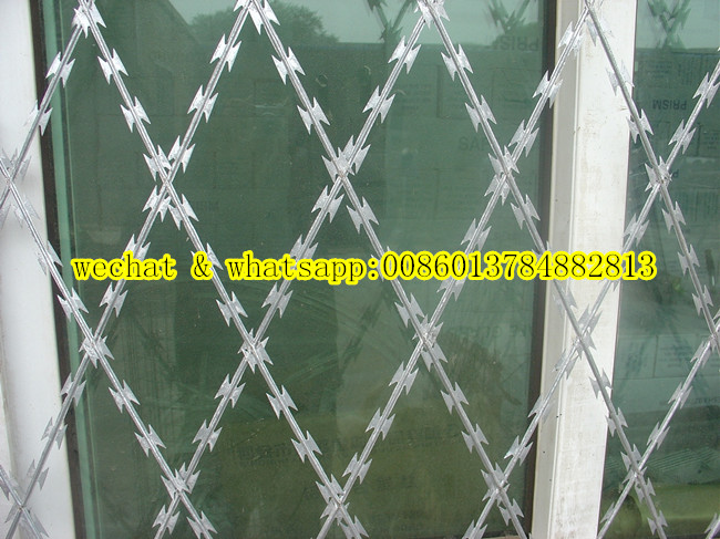 Welded Razor Wire Mesh in Pallet