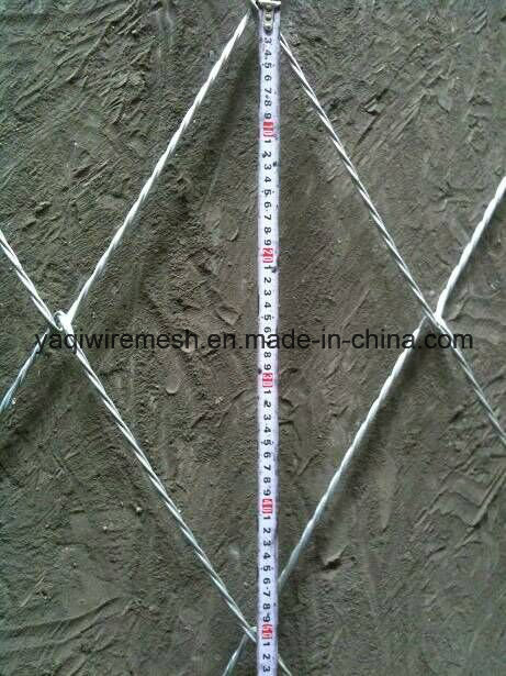 Flexible X-Tend Stainless Steel Wire Rope Mesh