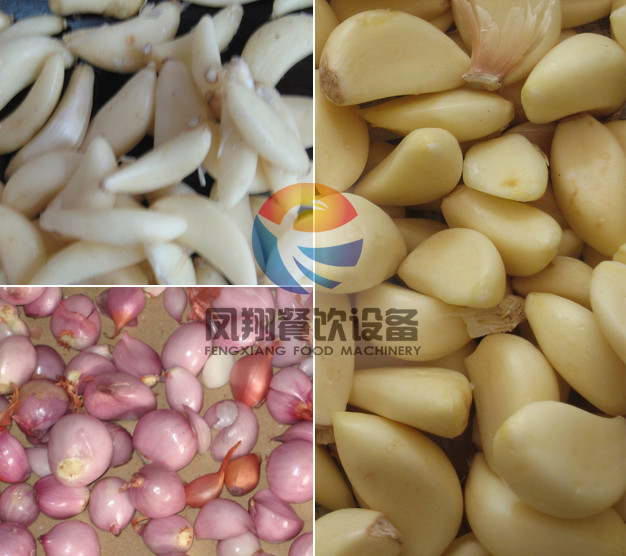 Economical Type Garlic, Shallot Peeler, Peeling Machine Fx-128s