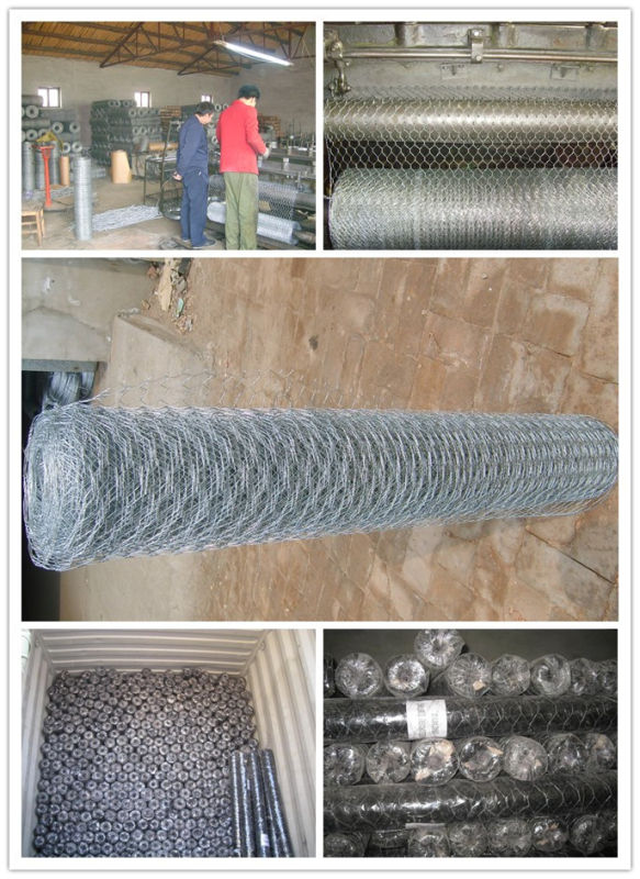 Hot-Dipped Galvanized Hexagonal Wire Netting, Chicken Wire (CTM3)