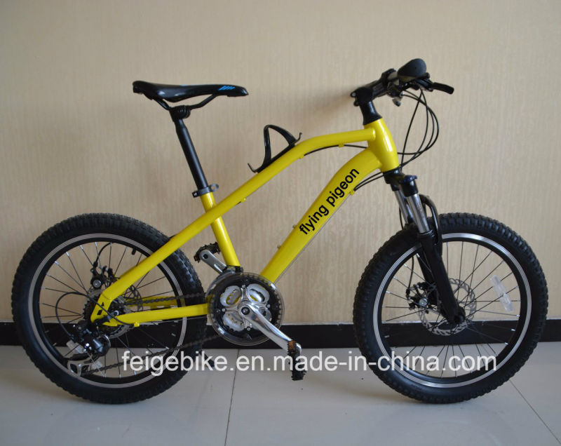 2017 New Model Children Bicycle Teenager MTB (FP-KDB-17030)