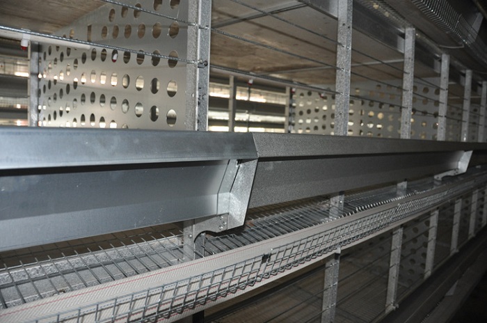 Galvanization Automatic Breeder Chicken Cage System (H type)