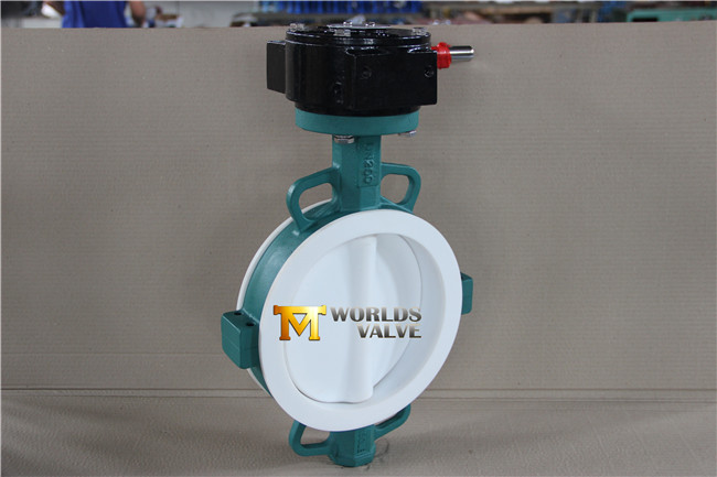 Full PTFE Coated Wafer Type Butterfly Valve with Ce ISO Wras Approved (CBF04-TA01)
