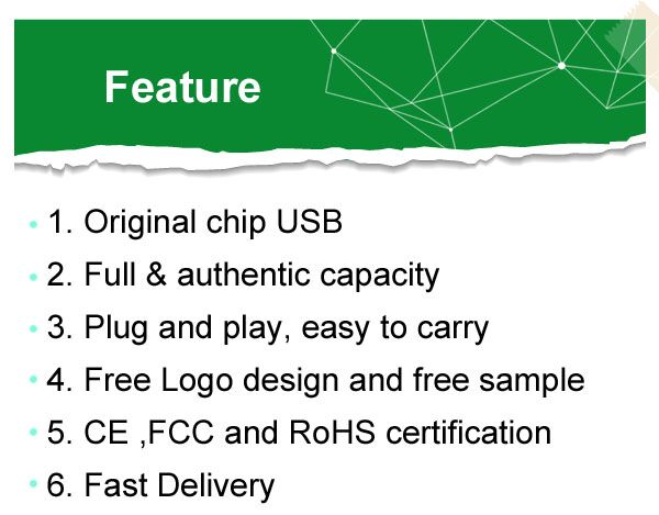 OEM Logo Printing Environmental Paper USB Flash Drive
