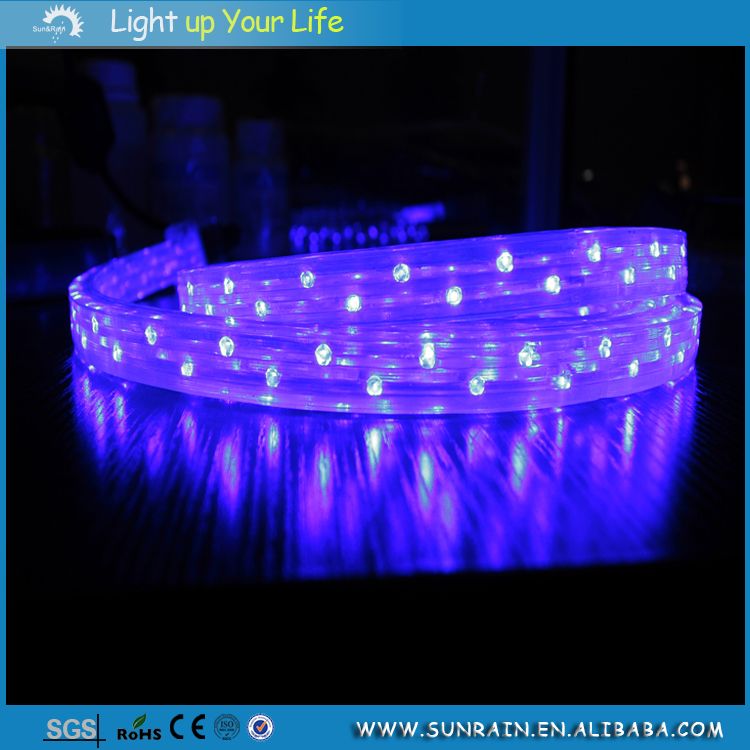 LED Rope Light (SRL-F3W)