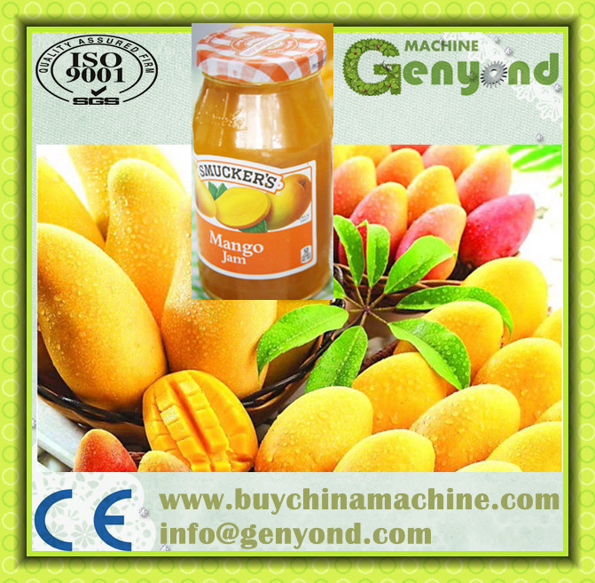 Professional Automatic Mango Jam Production Line