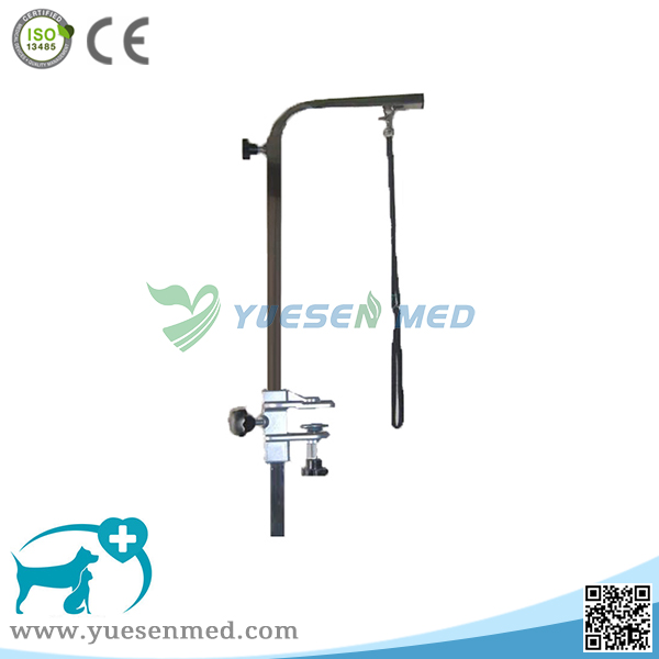 Medical Vet Clinic 304 Stainless Steel Veterinary Pet Grooming Unit