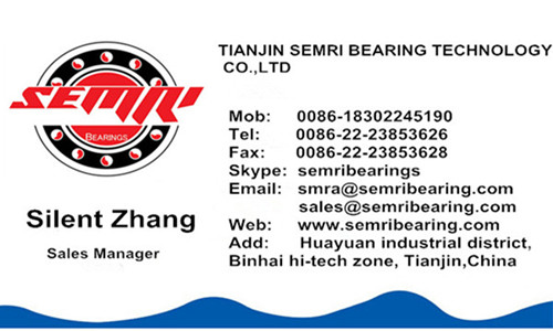 Super Performance Miniature Ceramic Bearing (604) with High Speed