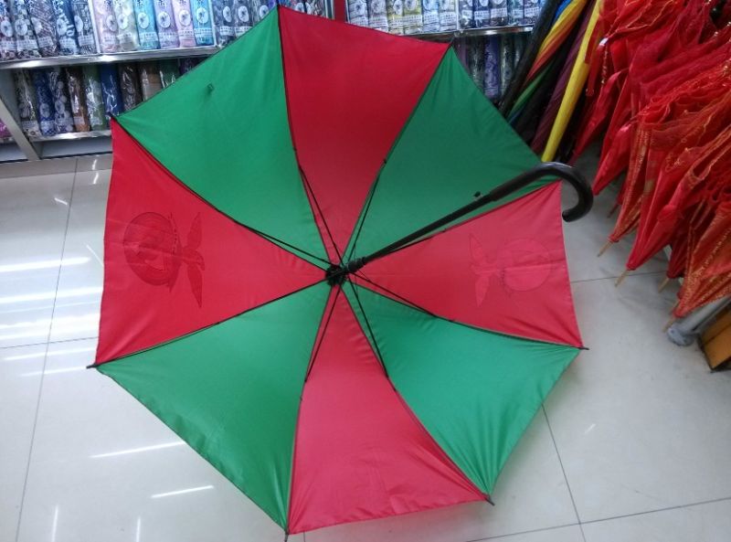 Auto Open National Flag Advertising Umbrella (JS-016)