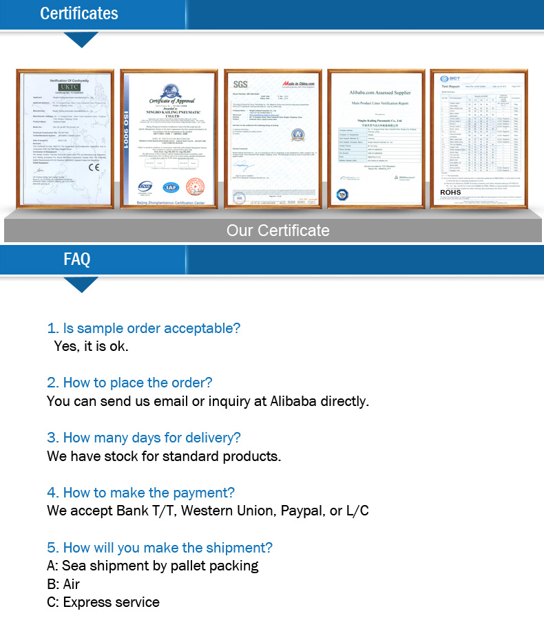 Si Series ISO6431 Standard Air Cylinder with ISO9001 (SI 63X100)