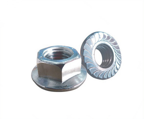 Stainless Steel Hex Flange Nut (DIN6923)