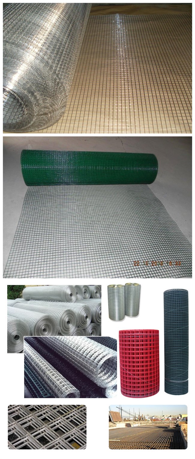 Galvanized PVC Coated Welded Wire Mesh with (CE and SGS)