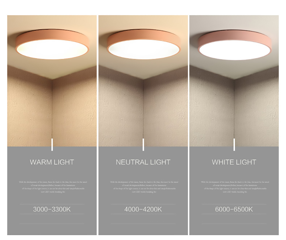 Frameless ceiling light