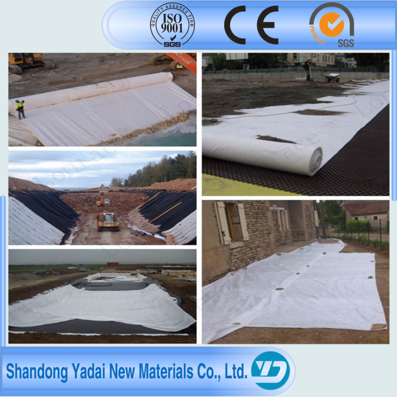 Waterproof HDPE Geomembrane Geotextile a Cloth a Film for Hydraulic Engineering