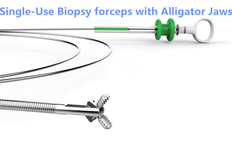 China Supplier Disposable Biopsy Forceps Coated with Spike