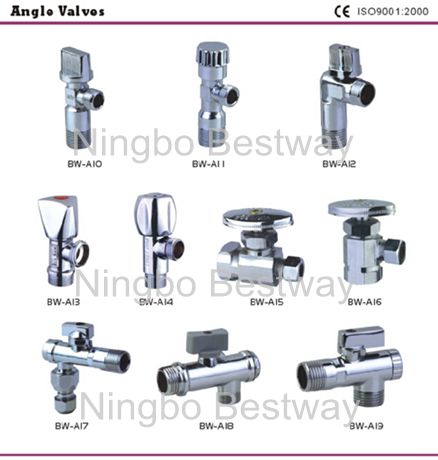 Hot Sale Brass Angle Valve (BW-A10)