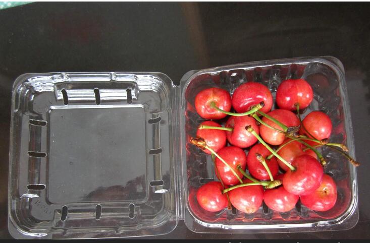 custom printing Kiwi fruit plastic packing box(food tray)