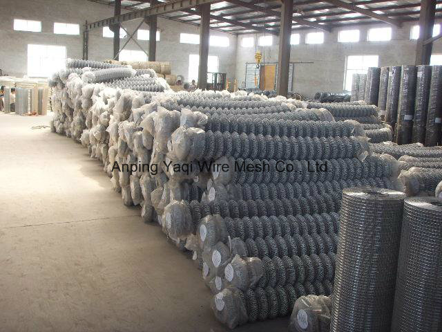 Plastic Coated PVC Coated Chain Link Fence High Quality in Low Price