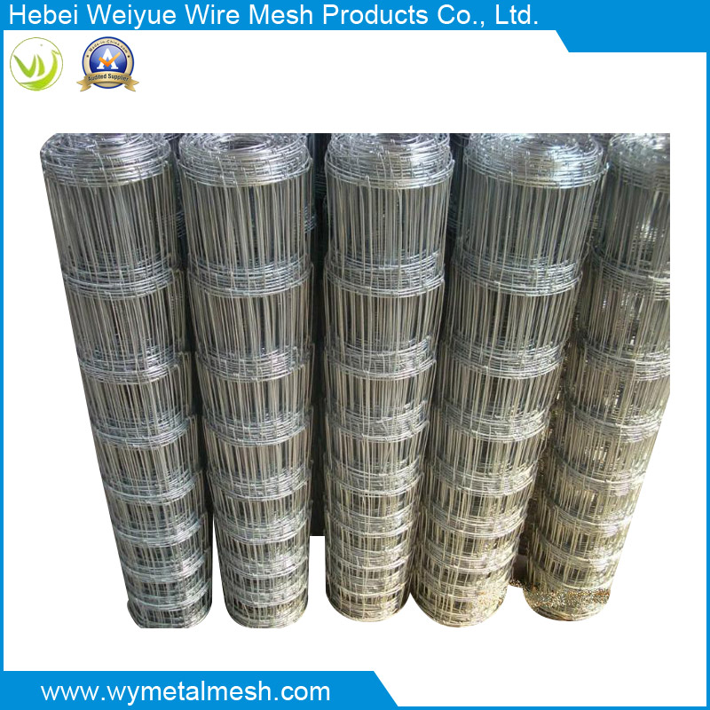 Galvanized Field Fence for Animal