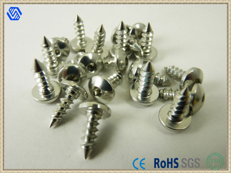 Colored Anodized Aluminum Screw (BL-5051)