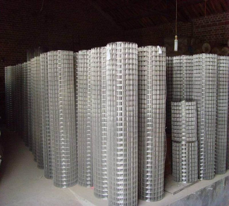 Hot Dipped Galvanized 10 Gauge Welded Wire Mesh