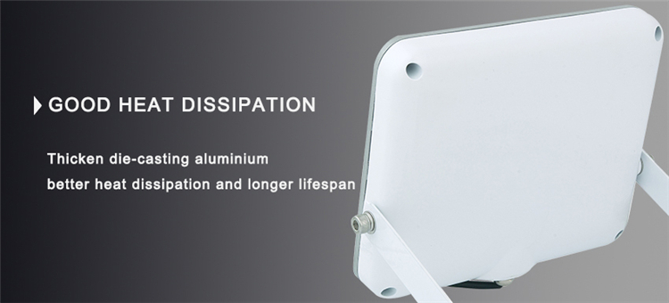 Beam Angle 120° Aluminium 2-Year Warranty 30W White iPad LED Flood Lamp